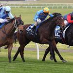 Long Face Grace wins for Pacific Bloodstock Long Face Grace wins for Pacific Bloodstock